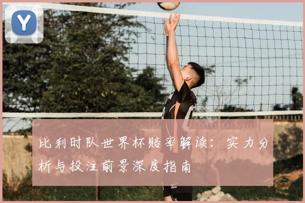 比利时队世界杯赔率解读：实力分析与投注前景深度指南