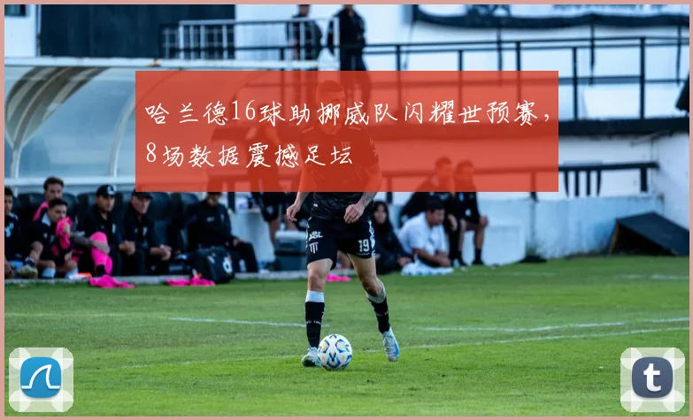 哈兰德16球助挪威队闪耀世预赛,8场数据震撼足坛