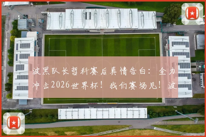 波黑队长哲科赛后真情告白:全力冲击2026世界杯!我们赛场见!波黑,我爱你!