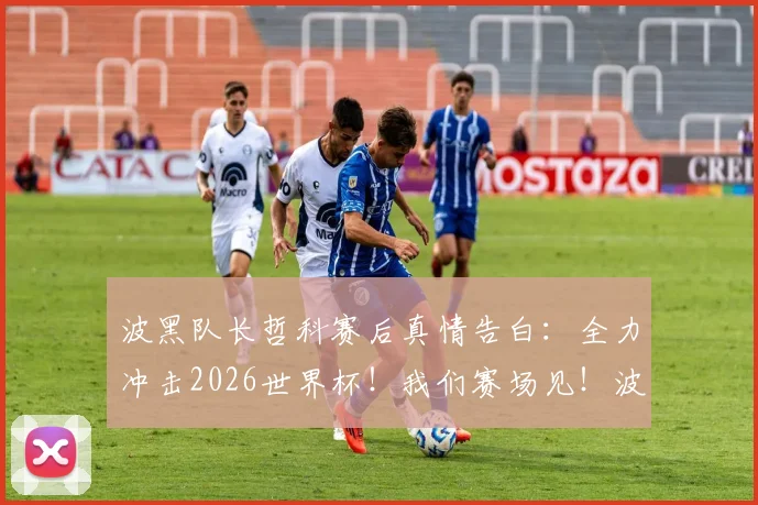 波黑队长哲科赛后真情告白：全力冲击2026世界杯！我们赛场见！波黑，我爱你！